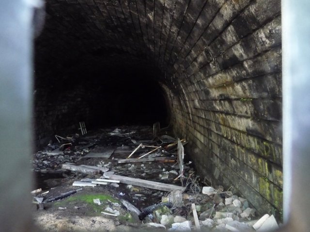 Pic 9