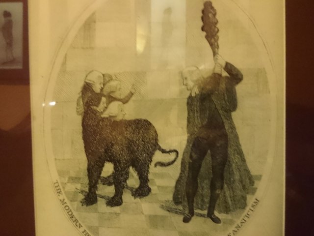Pic 21