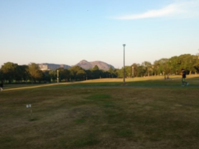 Pic 9